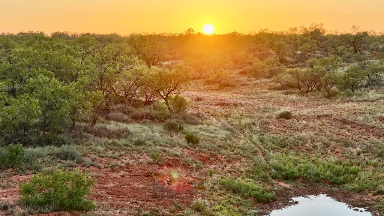 Photo 9 — 15360 U.S. 380, Aspermont, TX 79502