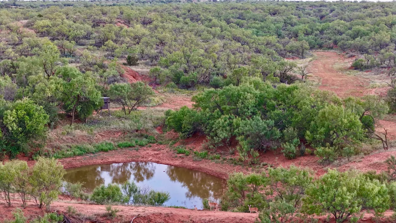 Photo 12 — 15360 U.S. 380, Aspermont, TX 79502
