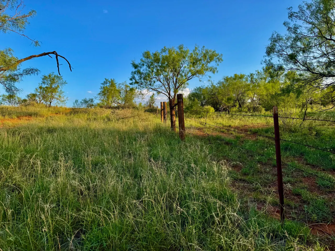 Photo 65 — 15360 U.S. 380, Aspermont, TX 79502