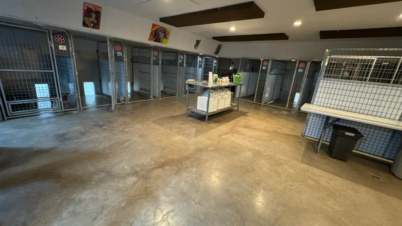 Photo 23 — 16396 N Hollyhock North Avenue, Gardendale, TX 79758