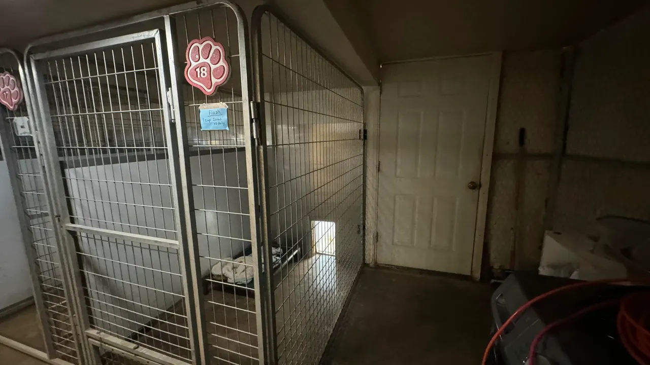 Photo 30 — 16396 N Hollyhock North Avenue, Gardendale, TX 79758