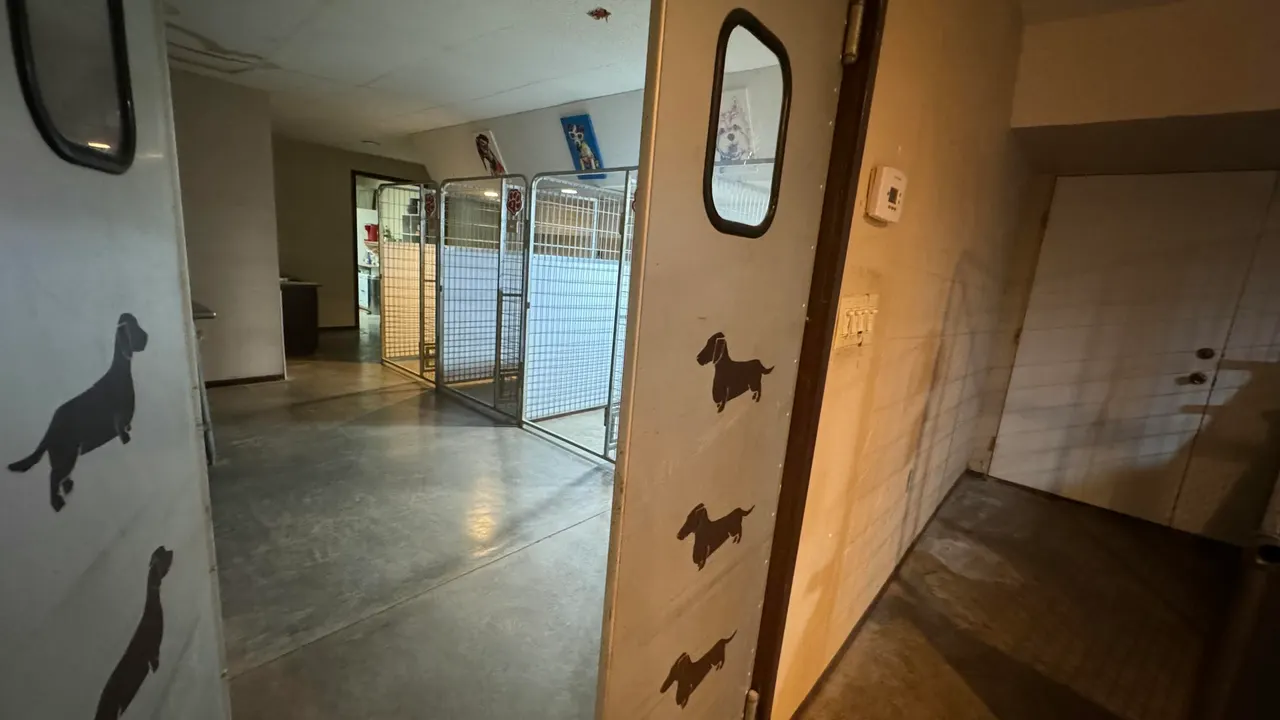 Photo 45 — 16396 N Hollyhock North Avenue, Gardendale, TX 79758