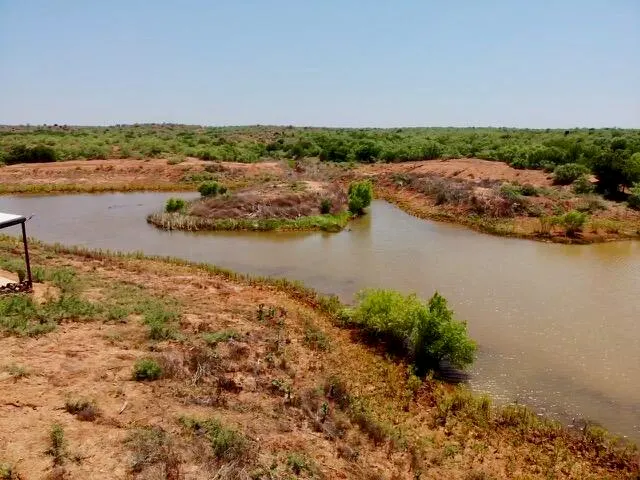 Photo 88 — 1510 U.S. 83, Childress, TX 79201