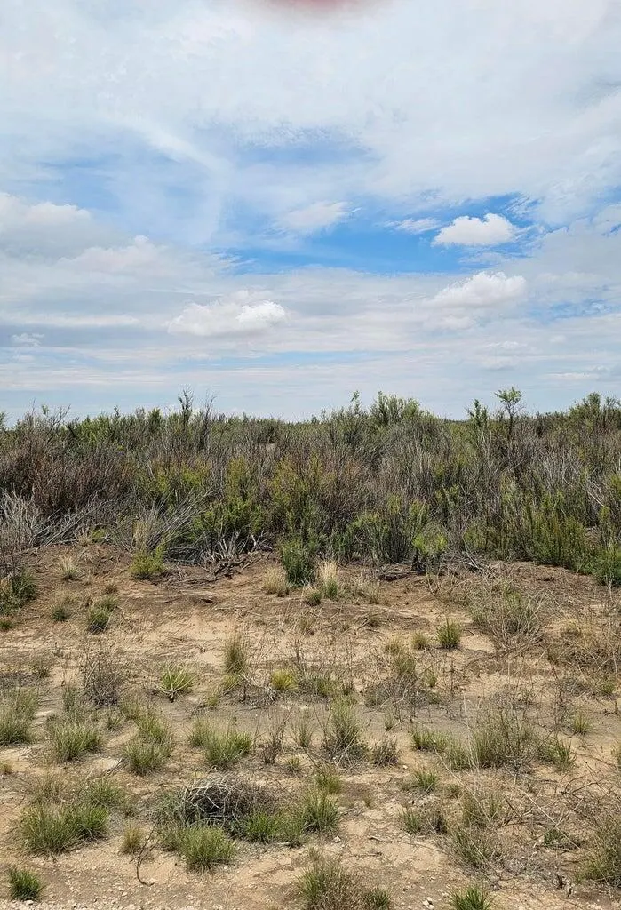 Front exterior — Lot 4 Douglas Farms Tanner, Brownfield, TX 79316