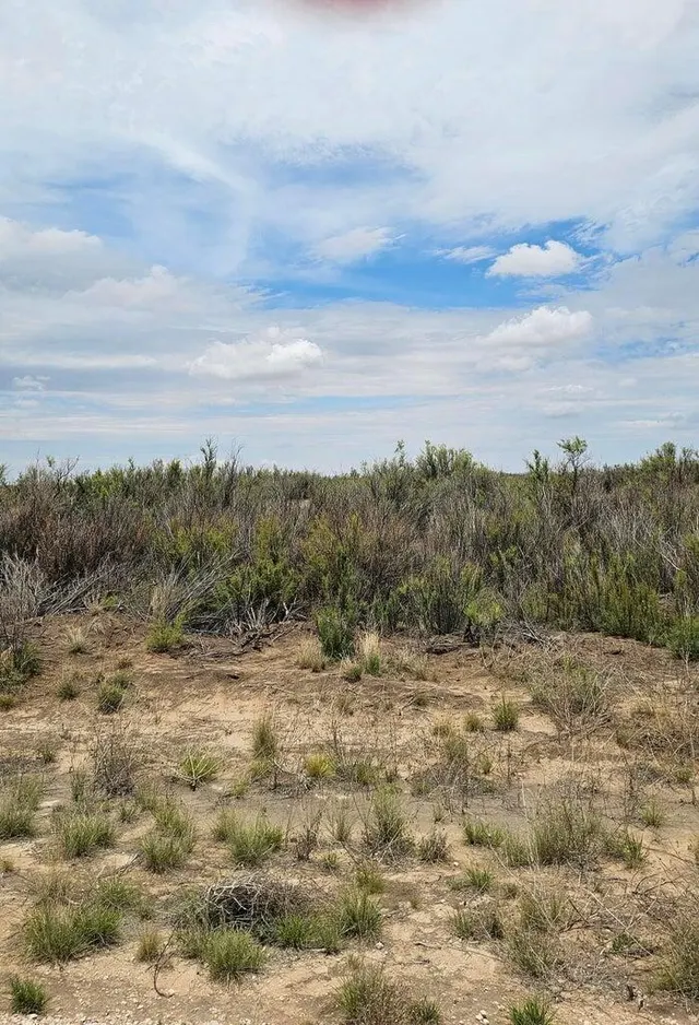 Front exterior — Lot 4 Douglas Farms Tanner, Brownfield, TX 79316