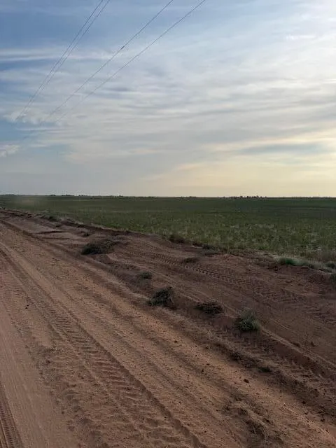 Photo 8 — 8001 F M 41, Wolfforth, TX 79382
