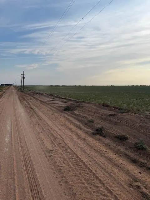 Photo 7 — 8001 F M 41, Wolfforth, TX 79382
