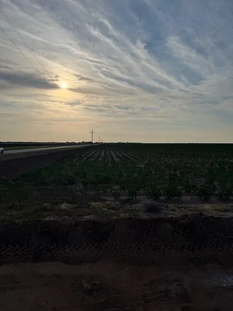 Photo 5 — 8001 F M 41, Wolfforth, TX 79382
