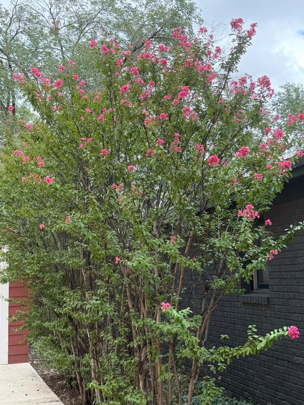 Photo 38 — 2810 21st Street, Lubbock, TX 79410