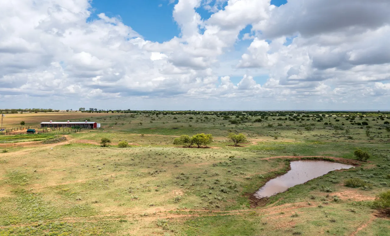 Photo 9 — 4166 County Road 13, Clarendon, TX 79226