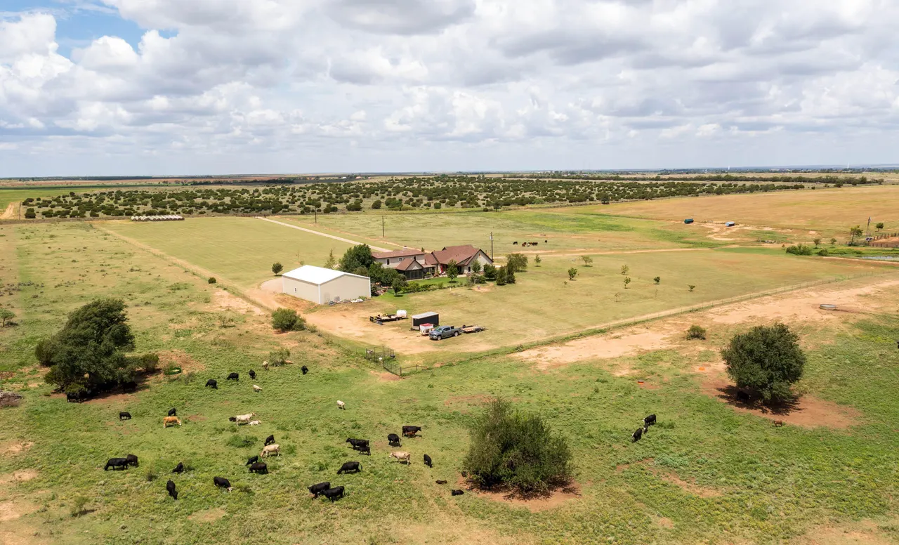 Photo 47 — 4166 County Road 13, Clarendon, TX 79226