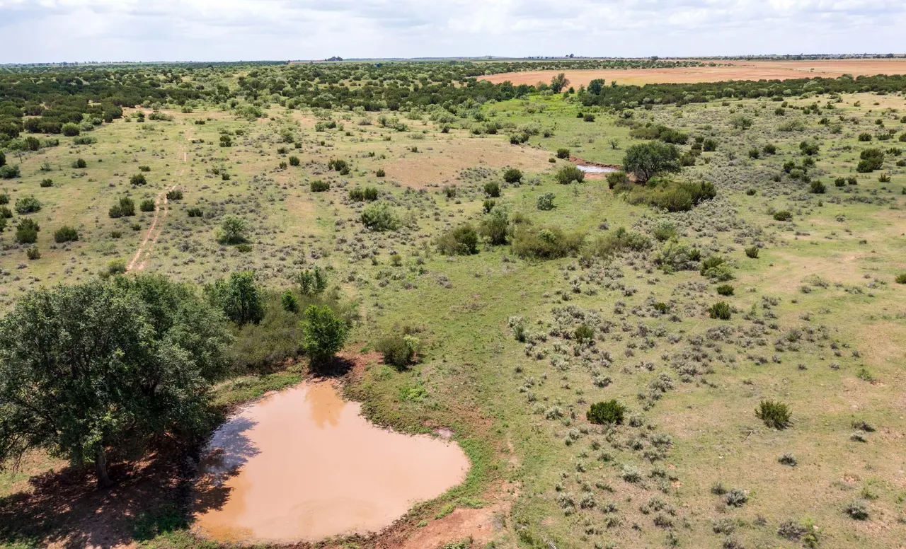 Photo 48 — 4166 County Road 13, Clarendon, TX 79226