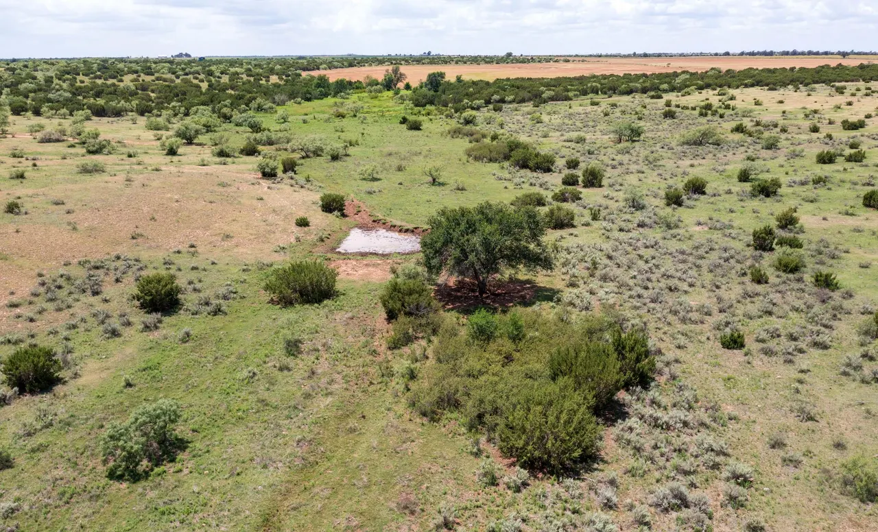 Photo 49 — 4166 County Road 13, Clarendon, TX 79226
