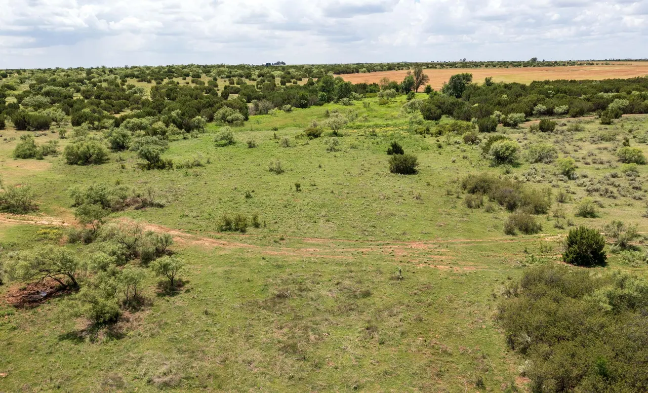 Photo 50 — 4166 County Road 13, Clarendon, TX 79226