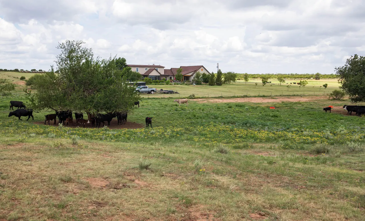 Photo 54 — 4166 County Road 13, Clarendon, TX 79226