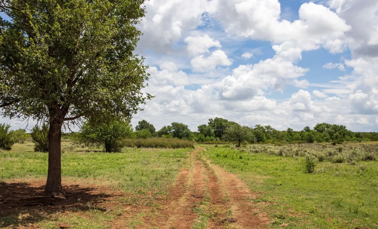 Photo 55 — 4166 County Road 13, Clarendon, TX 79226