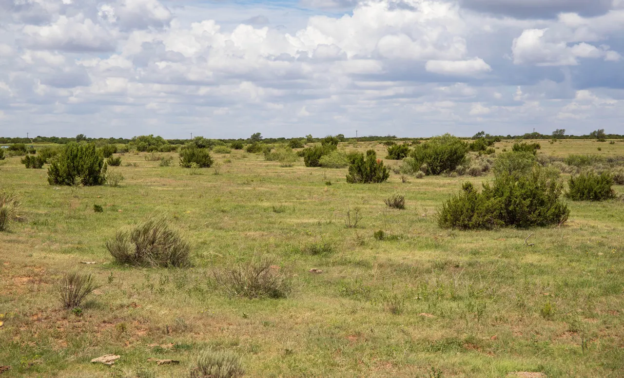 Photo 56 — 4166 County Road 13, Clarendon, TX 79226