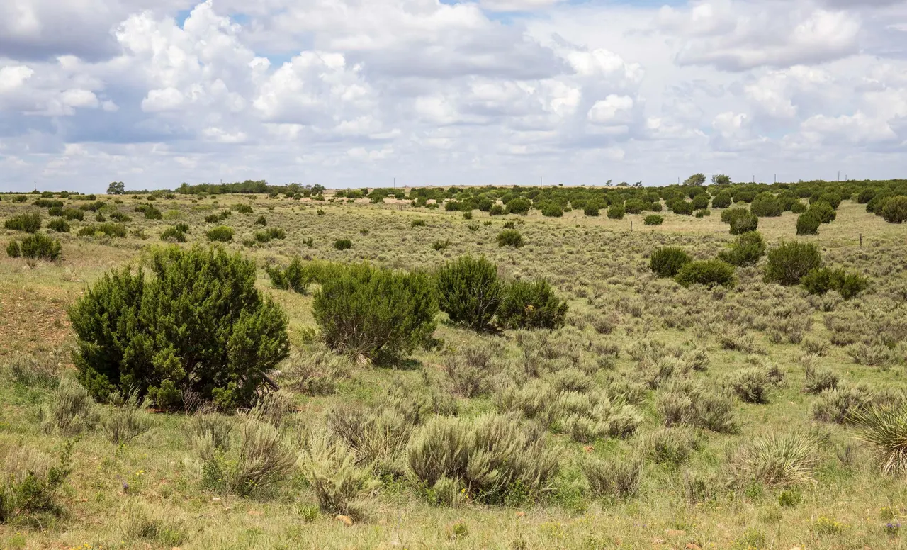 Photo 57 — 4166 County Road 13, Clarendon, TX 79226