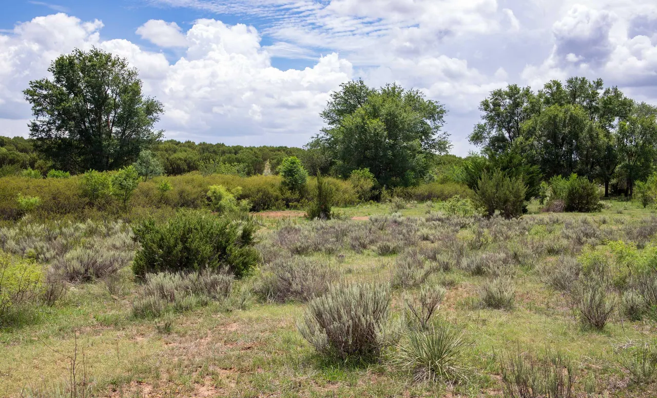 Photo 58 — 4166 County Road 13, Clarendon, TX 79226
