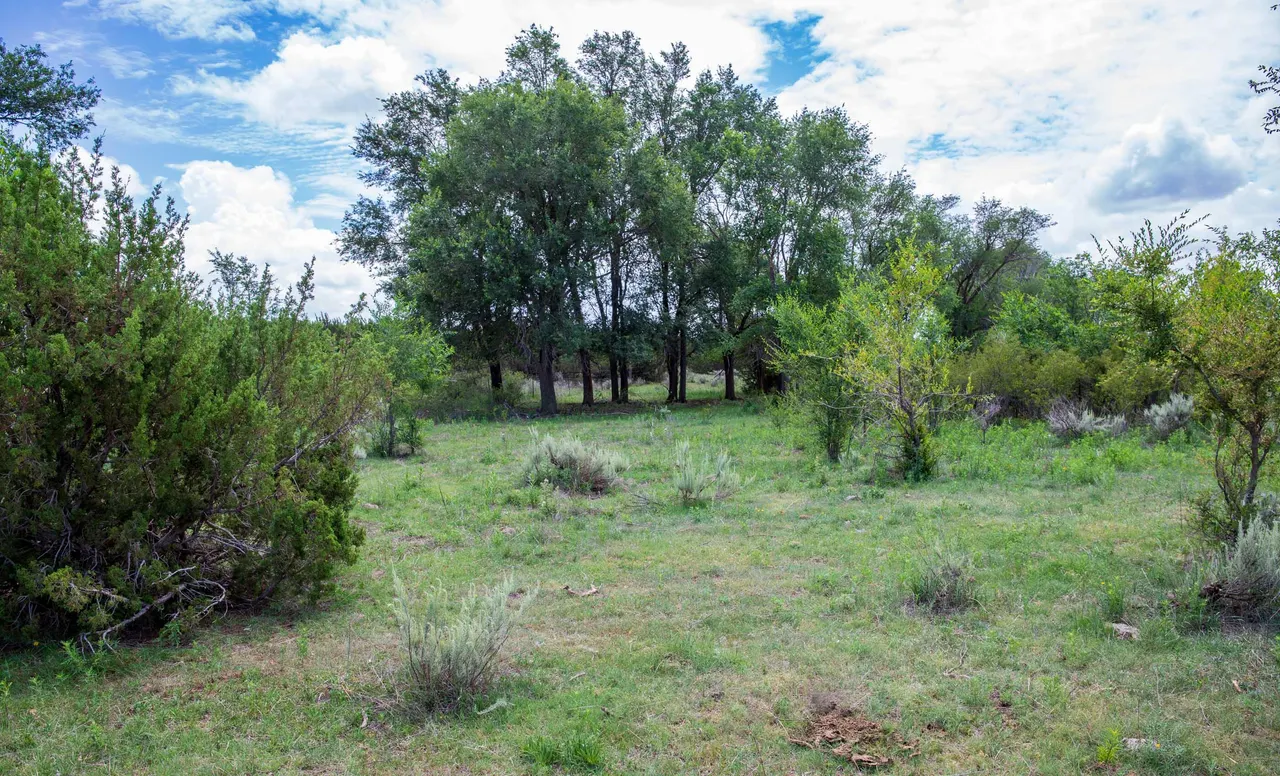 Photo 59 — 4166 County Road 13, Clarendon, TX 79226
