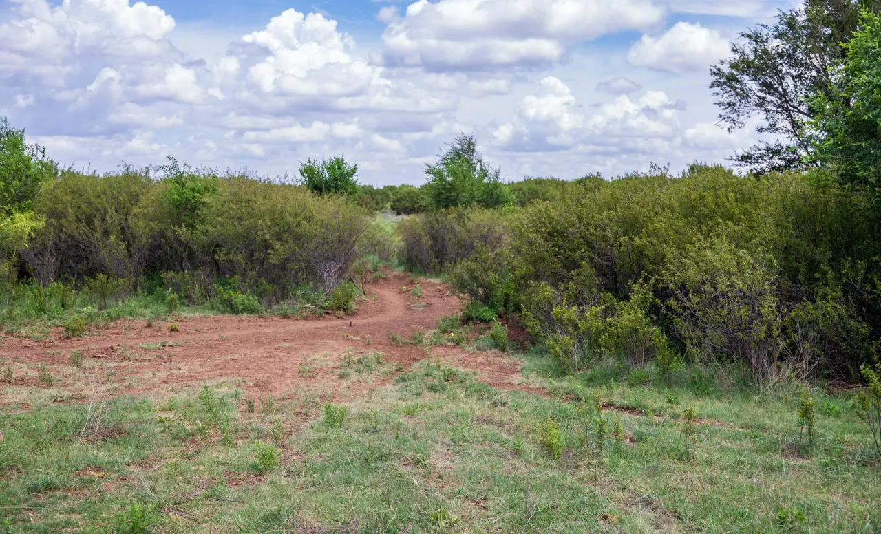Photo 60 — 4166 County Road 13, Clarendon, TX 79226
