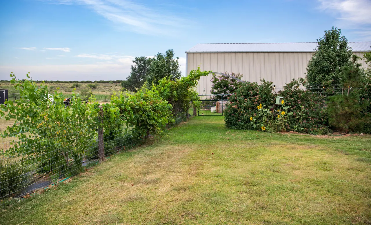 Photo 72 — 4166 County Road 13, Clarendon, TX 79226
