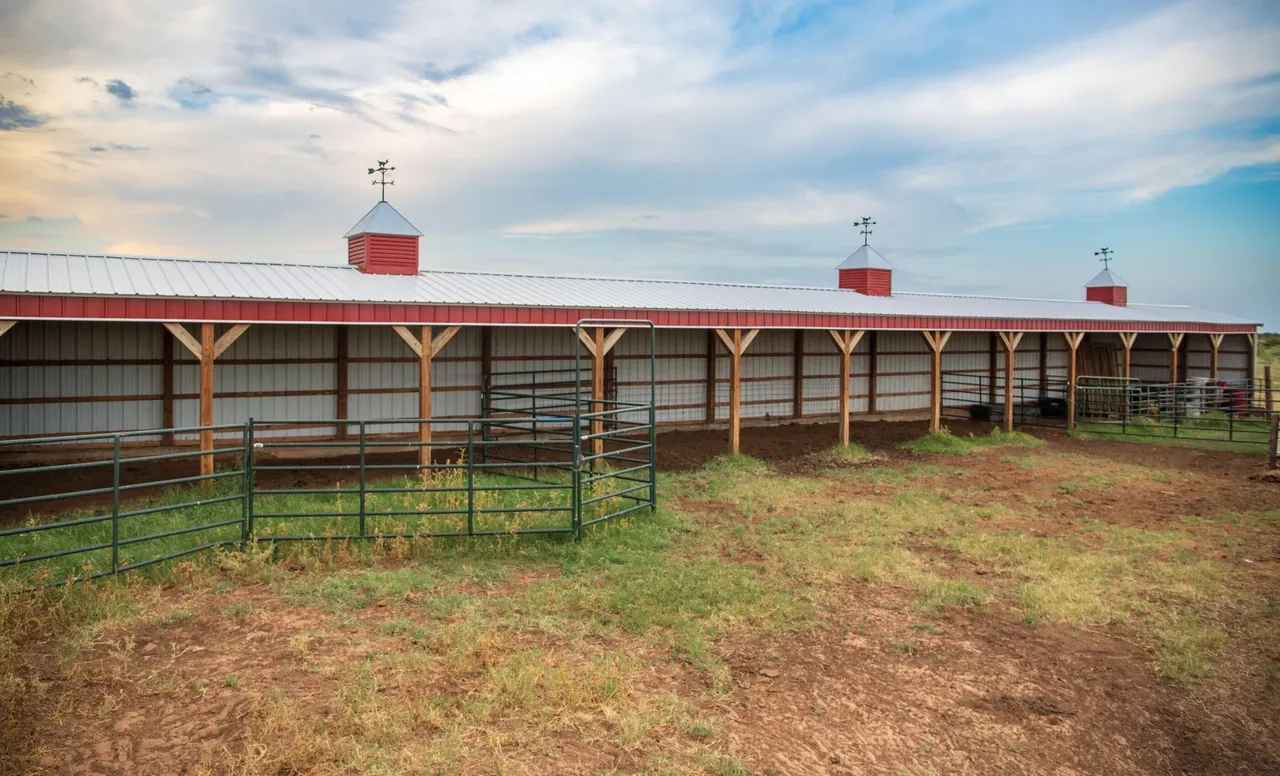 Photo 77 — 4166 County Road 13, Clarendon, TX 79226