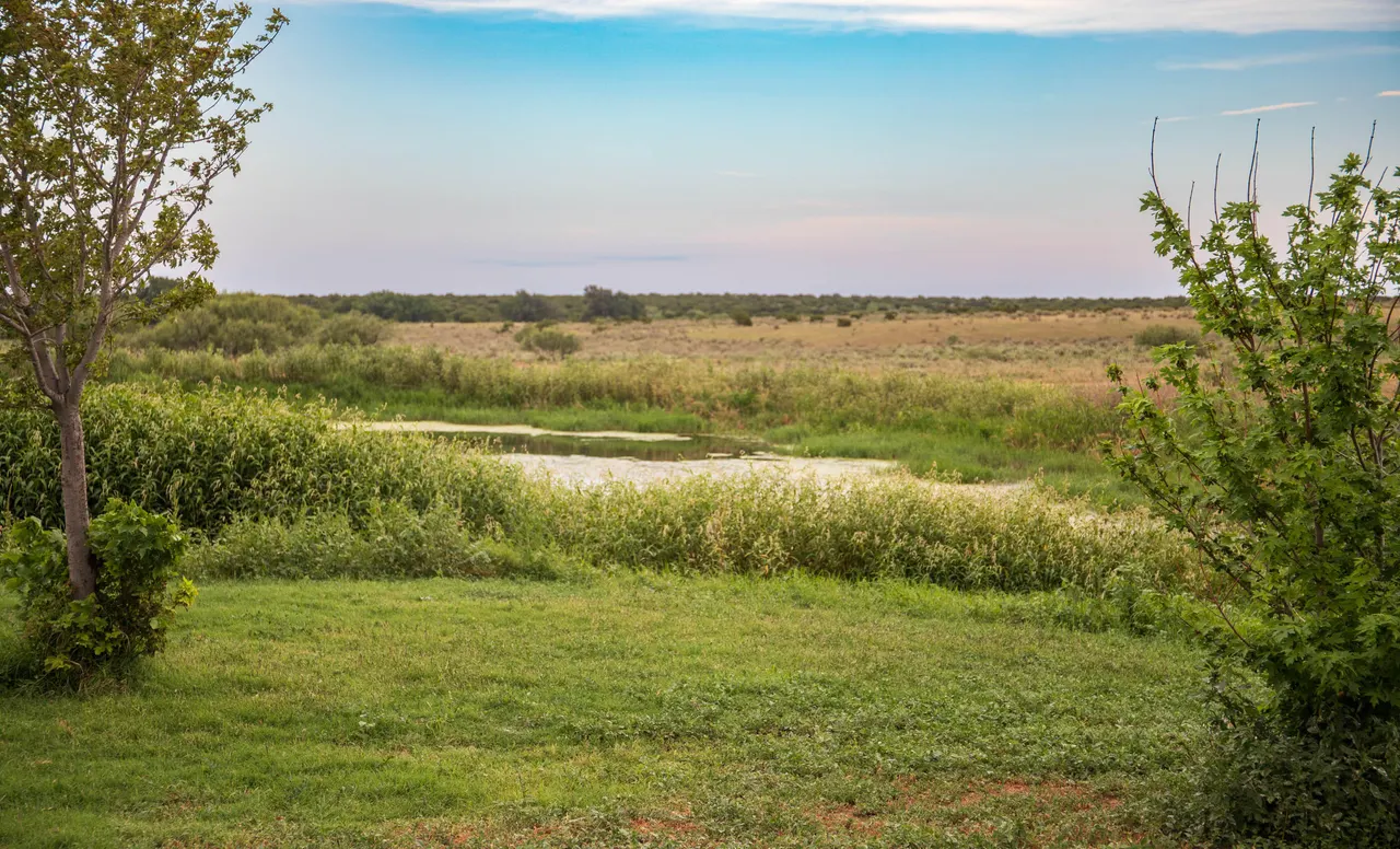 Photo 79 — 4166 County Road 13, Clarendon, TX 79226