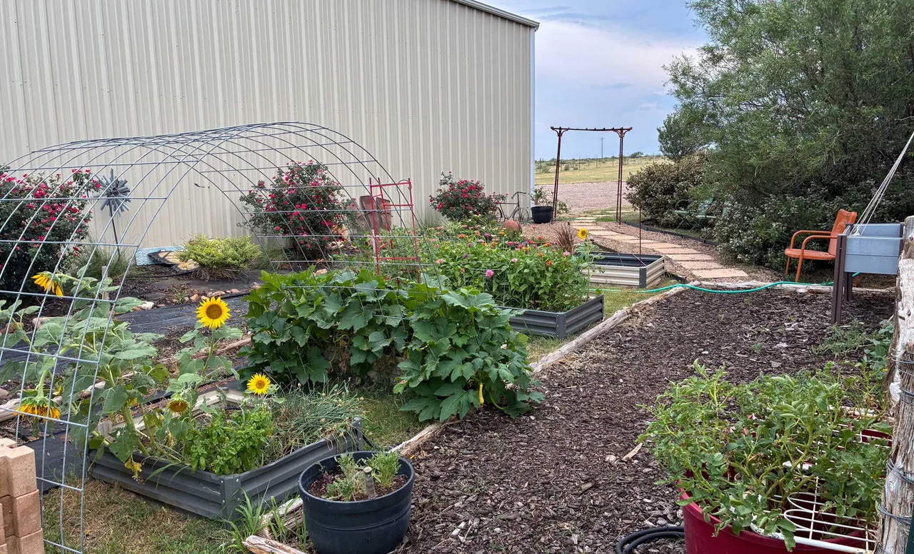 Photo 81 — 4166 County Road 13, Clarendon, TX 79226