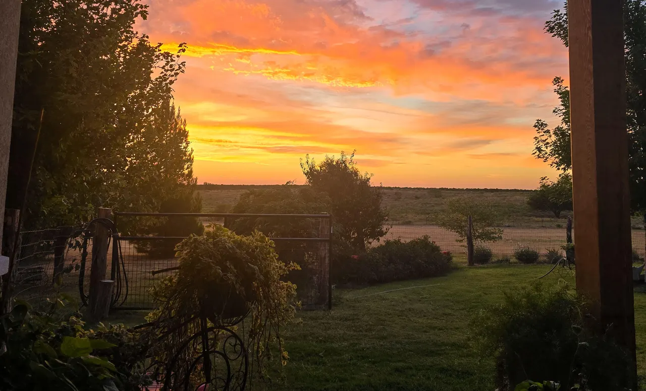 Photo 82 — 4166 County Road 13, Clarendon, TX 79226
