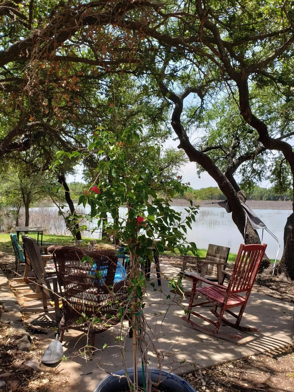 Photo 59 — 200 Wheat Circle, Blackwell, TX 79506