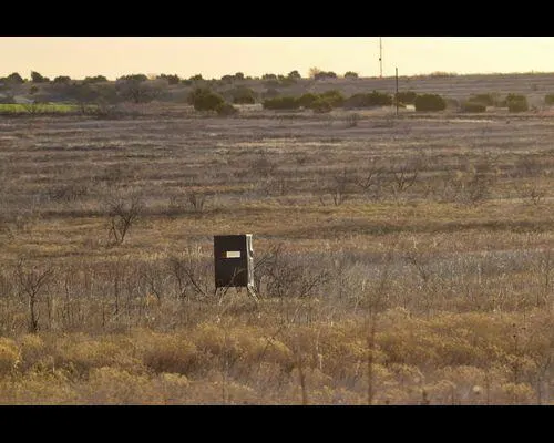 Photo 6 — TX-86, Turkey, TX 79261