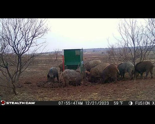 Photo 9 — TX-86, Turkey, TX 79261