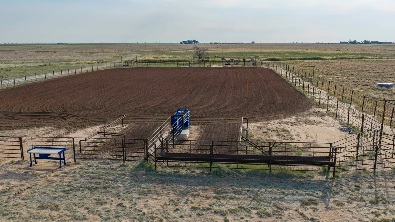 Photo 40 — 3002 County Road 332, Anton, TX 79313