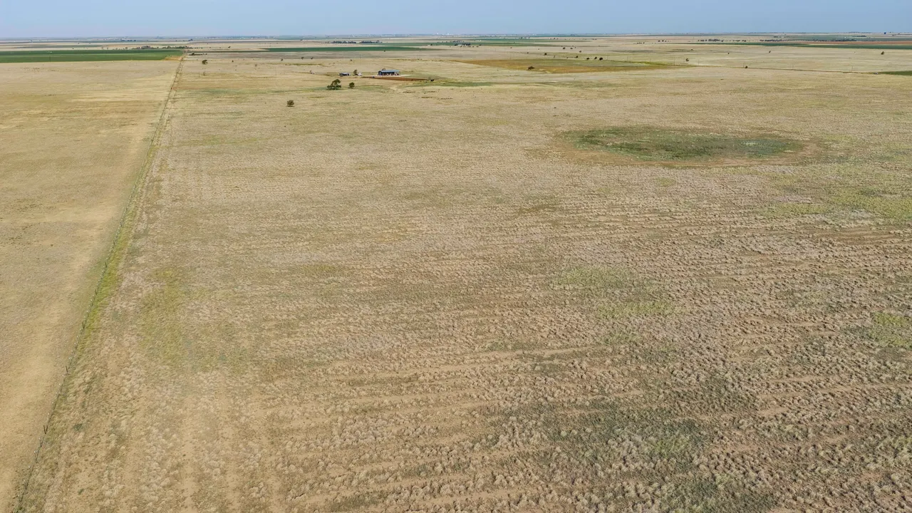 Photo 46 — 3002 County Road 332, Anton, TX 79313