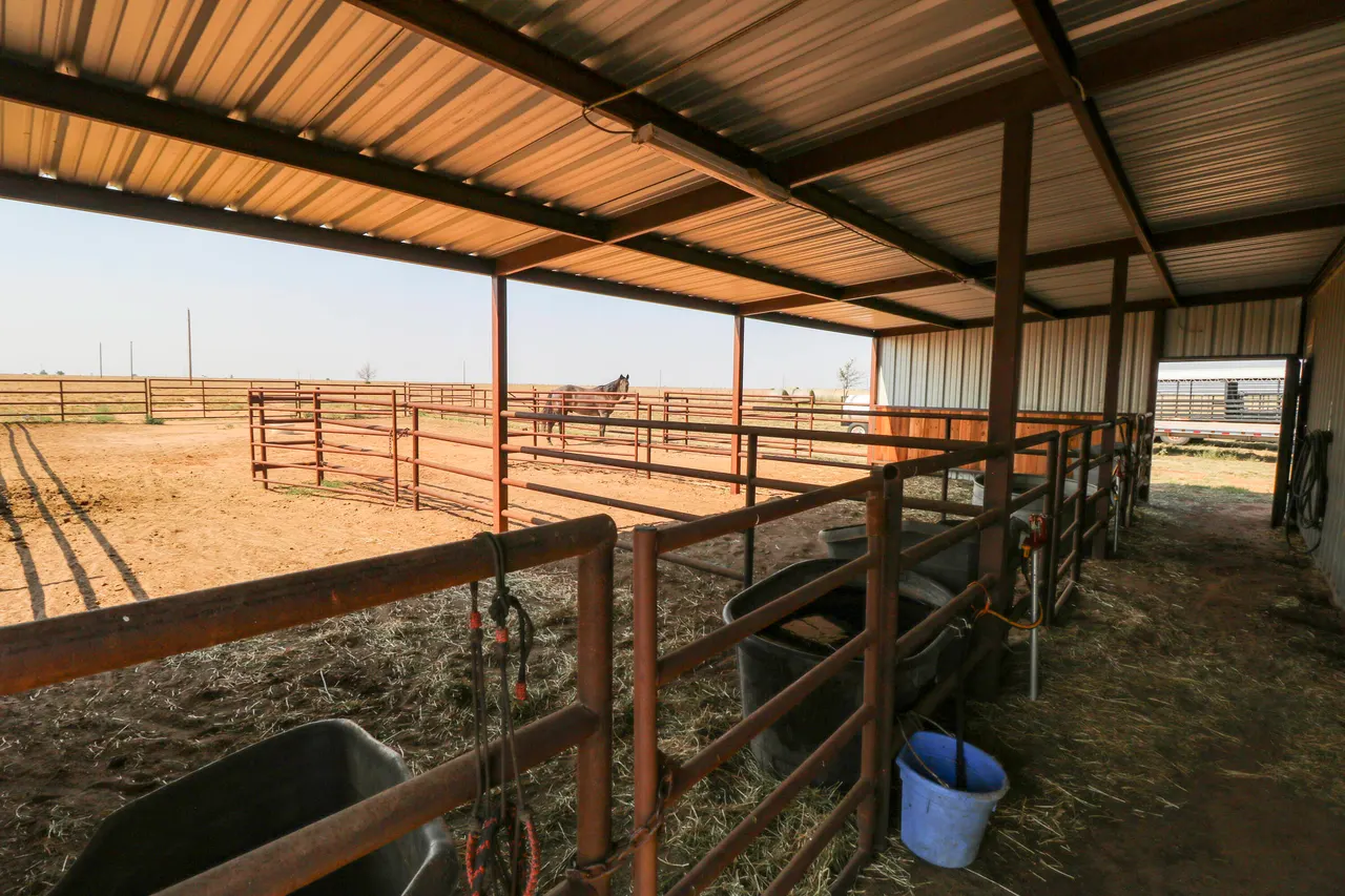 Photo 51 — 3002 County Road 332, Anton, TX 79313
