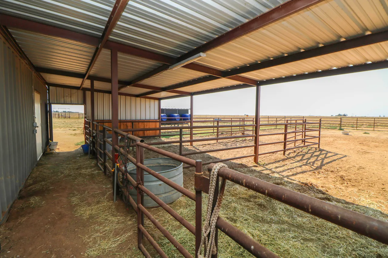 Photo 52 — 3002 County Road 332, Anton, TX 79313