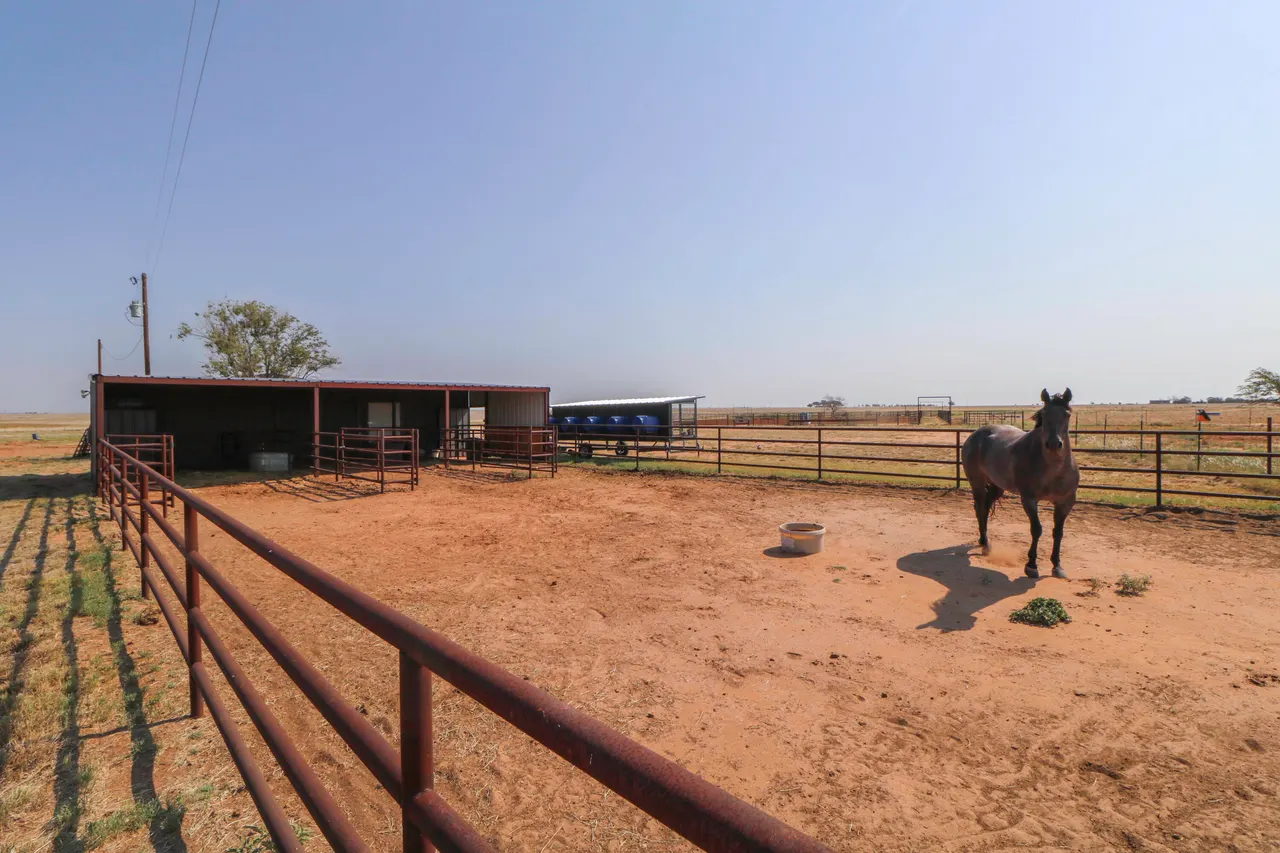 Photo 53 — 3002 County Road 332, Anton, TX 79313