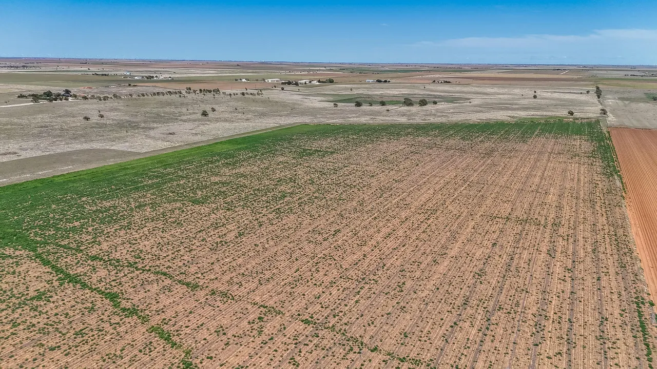 Photo 23 — Tracts 1-6 N CR 2800, Lubbock, TX 79403