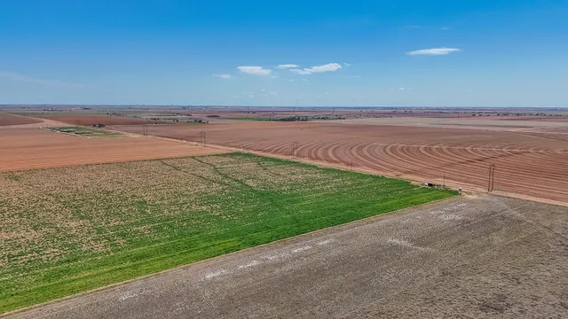 Photo 5 — Tracts 1-6 N CR 2800, Lubbock, TX 79403