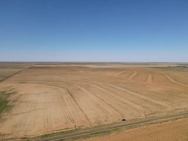 Photo 3 — Farm To Market Road 211, Meadow, TX 79345