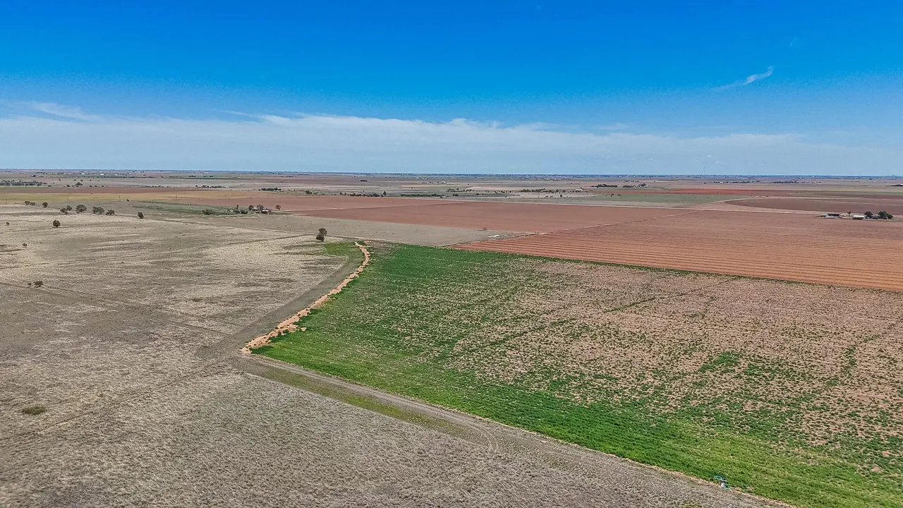 Photo 4 — Tracts 13 & 14 N FM Hwy 2902, Lubbock, TX 79403