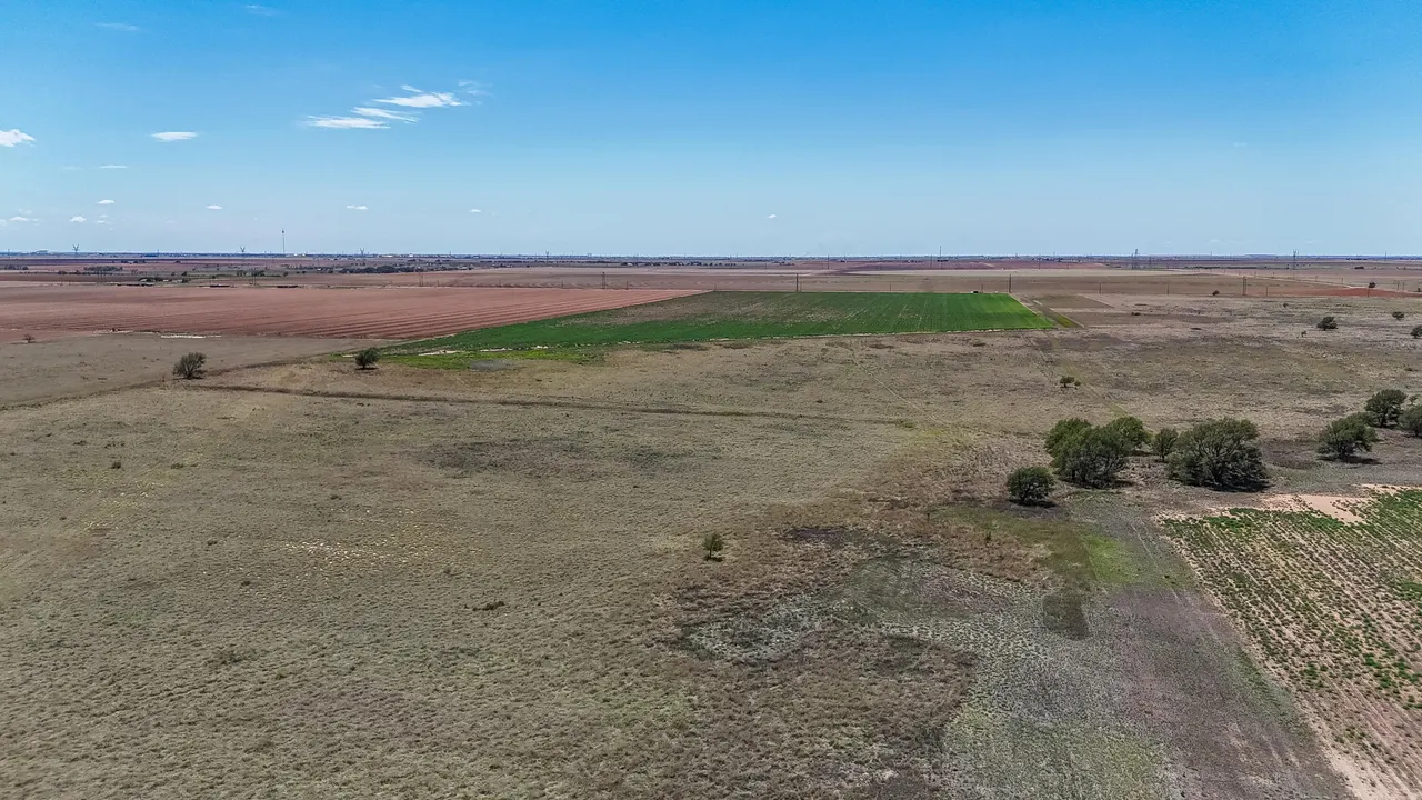 Photo 16 — Tracts 13 & 14 N FM Hwy 2902, Lubbock, TX 79403
