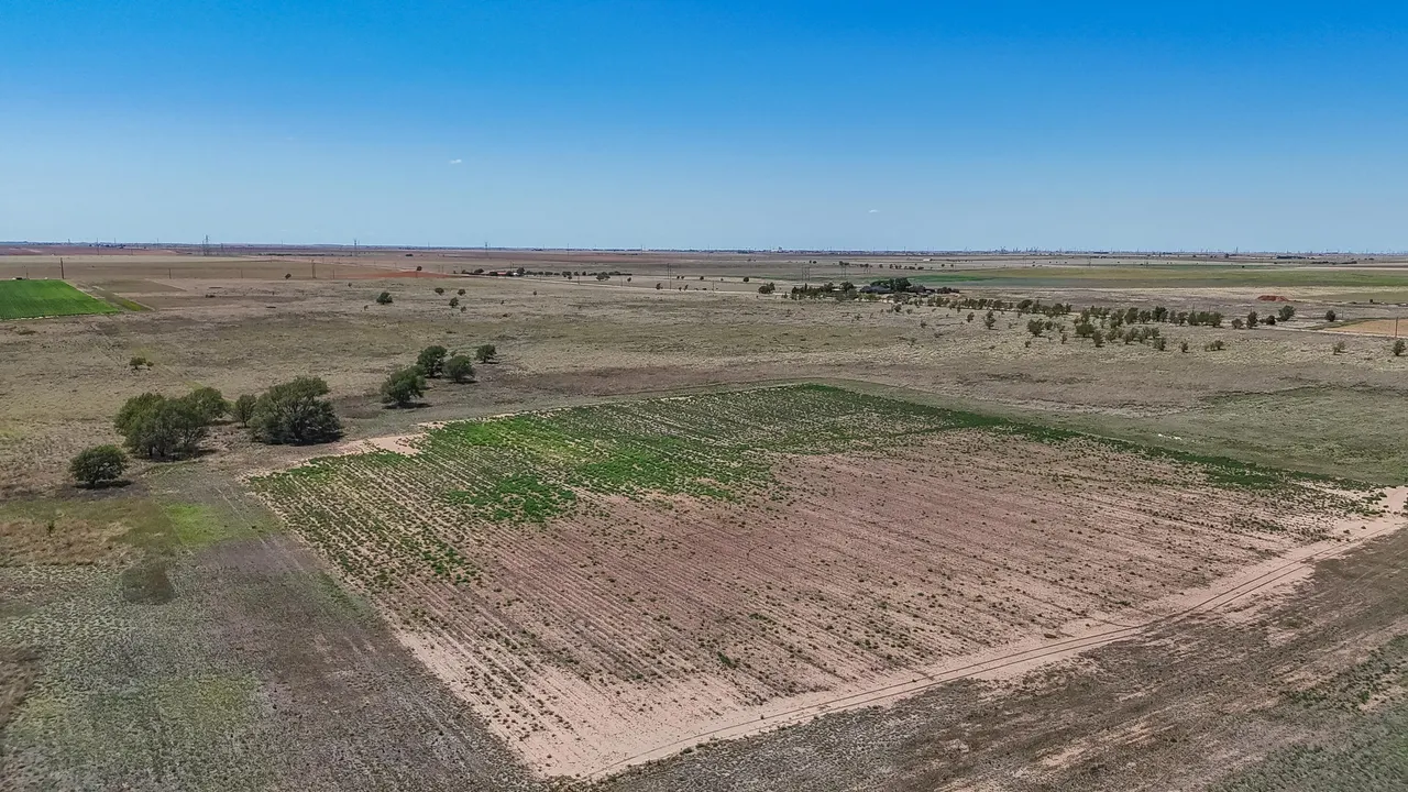 Photo 13 — Tracts 13 & 14 N FM Hwy 2902, Lubbock, TX 79403