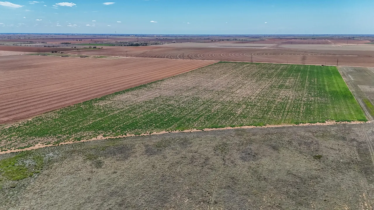 Photo 21 — Tracts 13 & 14 N FM Hwy 2902, Lubbock, TX 79403