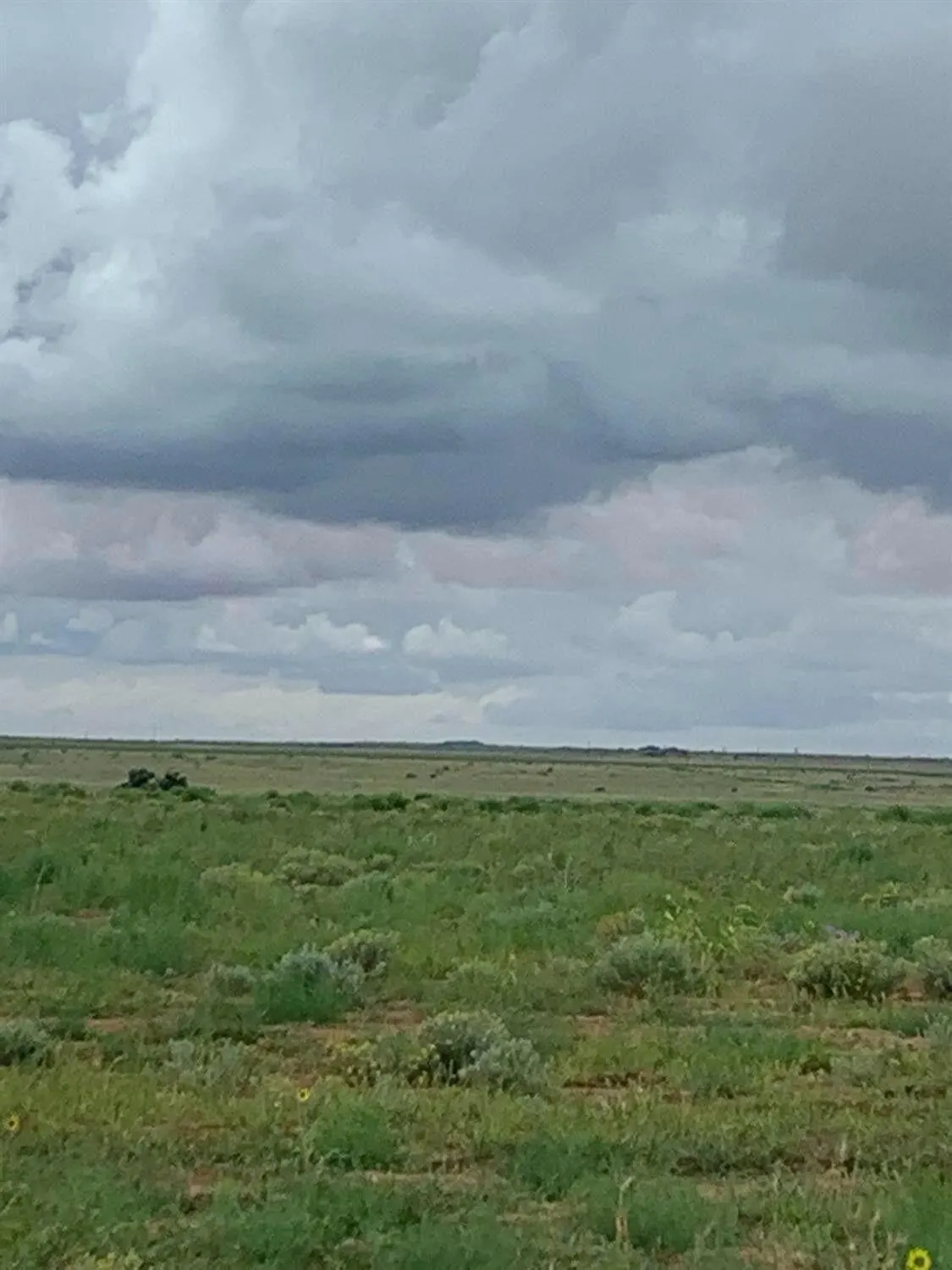 Photo 4 — LOT 2 FM 1317 lot 2  Street, New Home, TX 79383