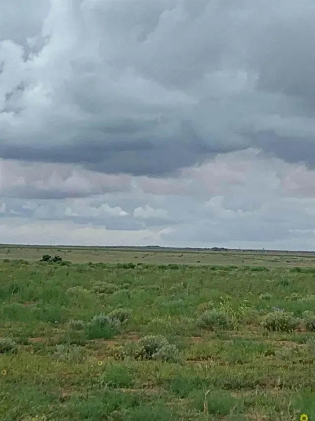 Photo 4 — 4 LOT  FM 1317, New Home, TX 79383