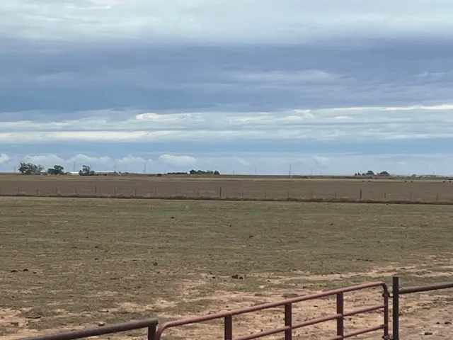 Photo 4 — County Road 1018, Muleshoe, TX 79347