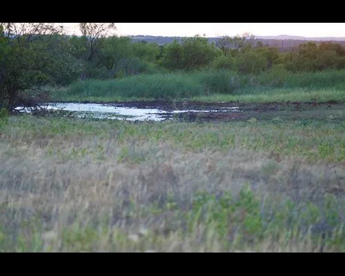 Photo 2 — County Road, Turkey, TX 79261