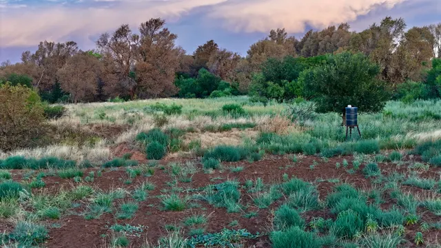 Photo 6 — 145 County Road 7, Turkey, TX 79261